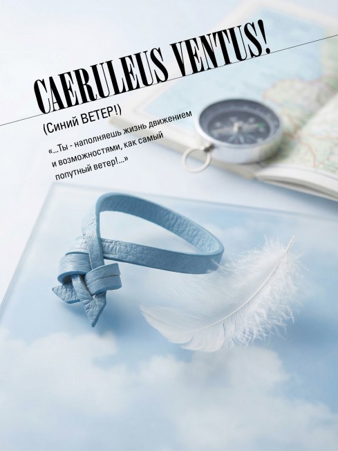 Ремешок на сумку-БРАСЛЕТ-держатель Брелока Унисекс Pi-CAERULEUS VENTUS!